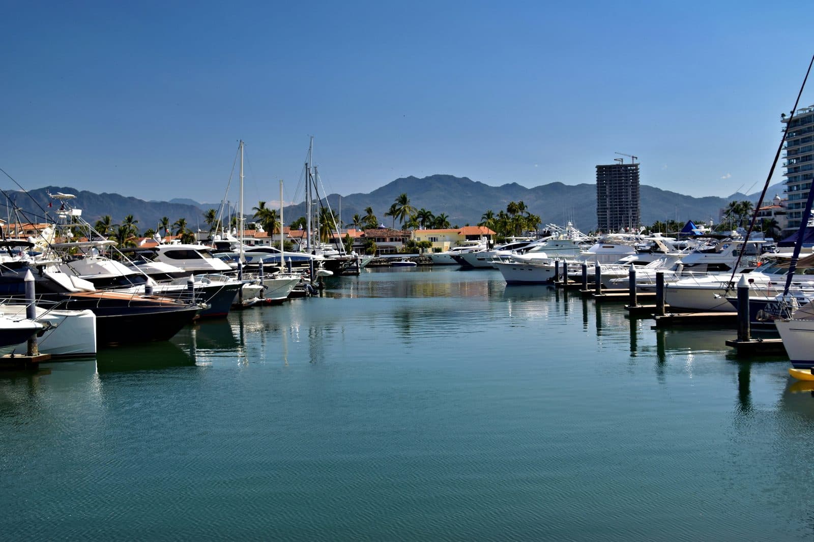 A marina packed with motor yachts and sailboats moored side by side
